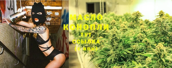 мдпв Бородино