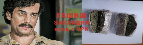 мдпв Бородино