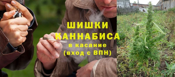 прущие крисы Бердск