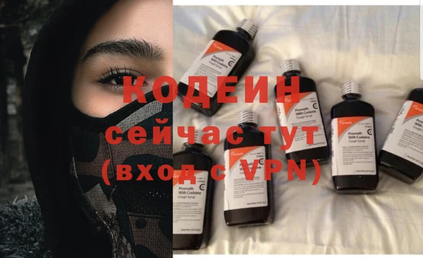 мдпв Бородино