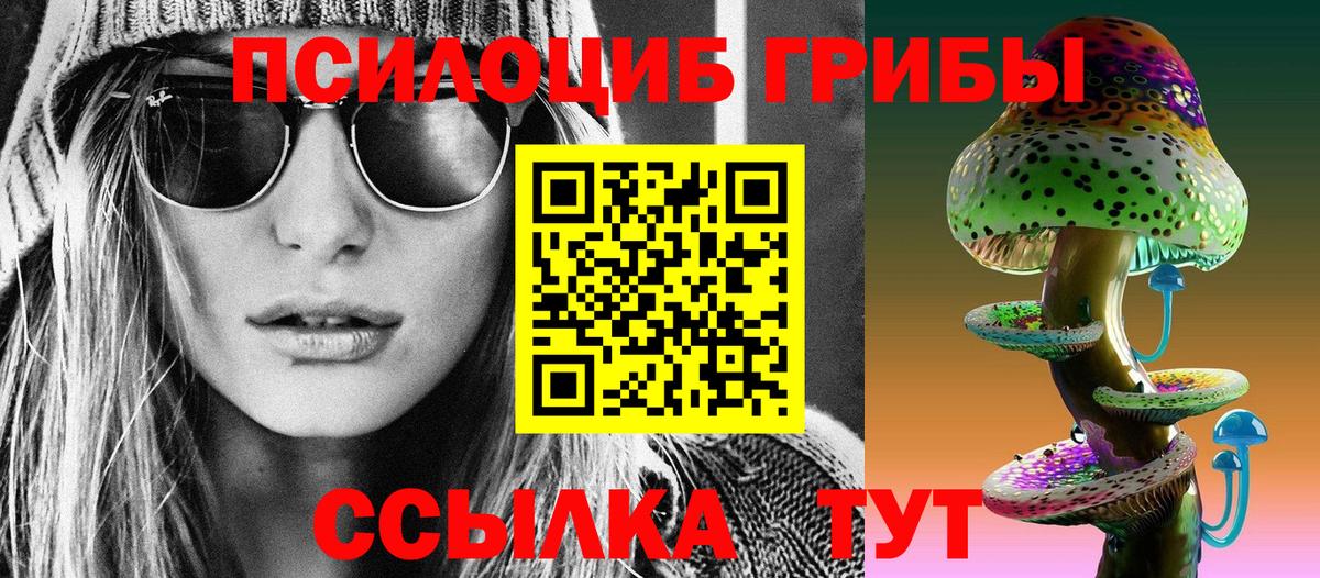 Галлюциногенные грибы прущие грибы  цены   Вход с VPN  Видное  Псилоцибиновые грибы GOLDEN TEACHER 