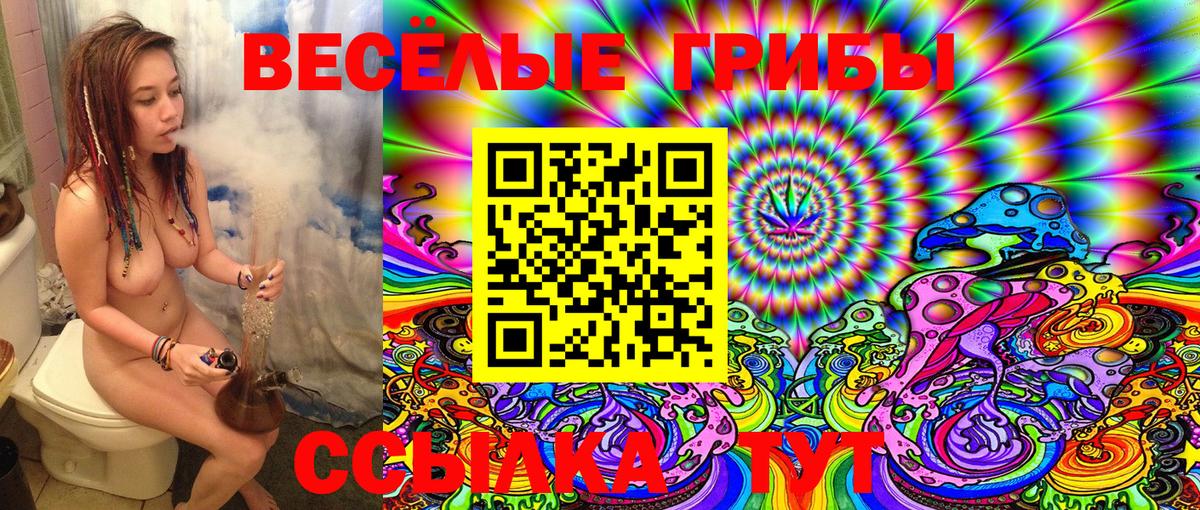 Псилоцибиновые грибы ЛСД  Видное 