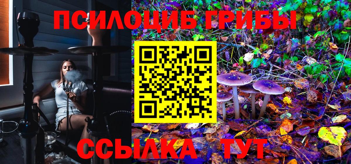 Галлюциногенные грибы Psilocybe Видное